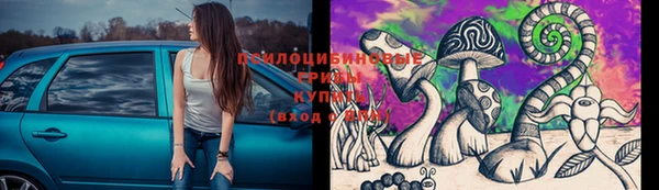 ALPHA PVP Баксан