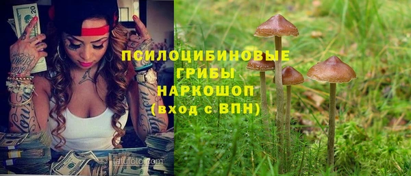 ALPHA PVP Баксан